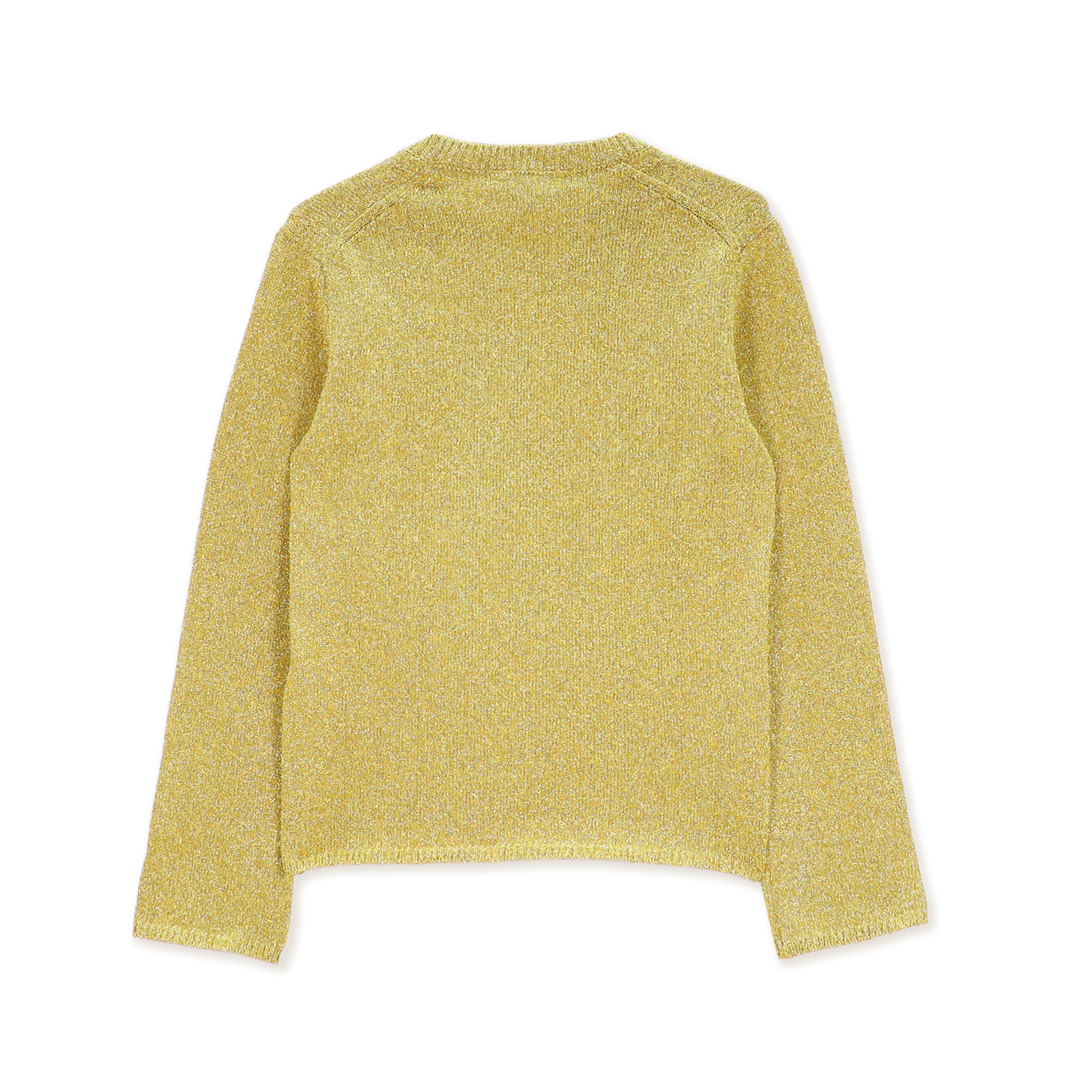 Gold Poly Nylon Sweater