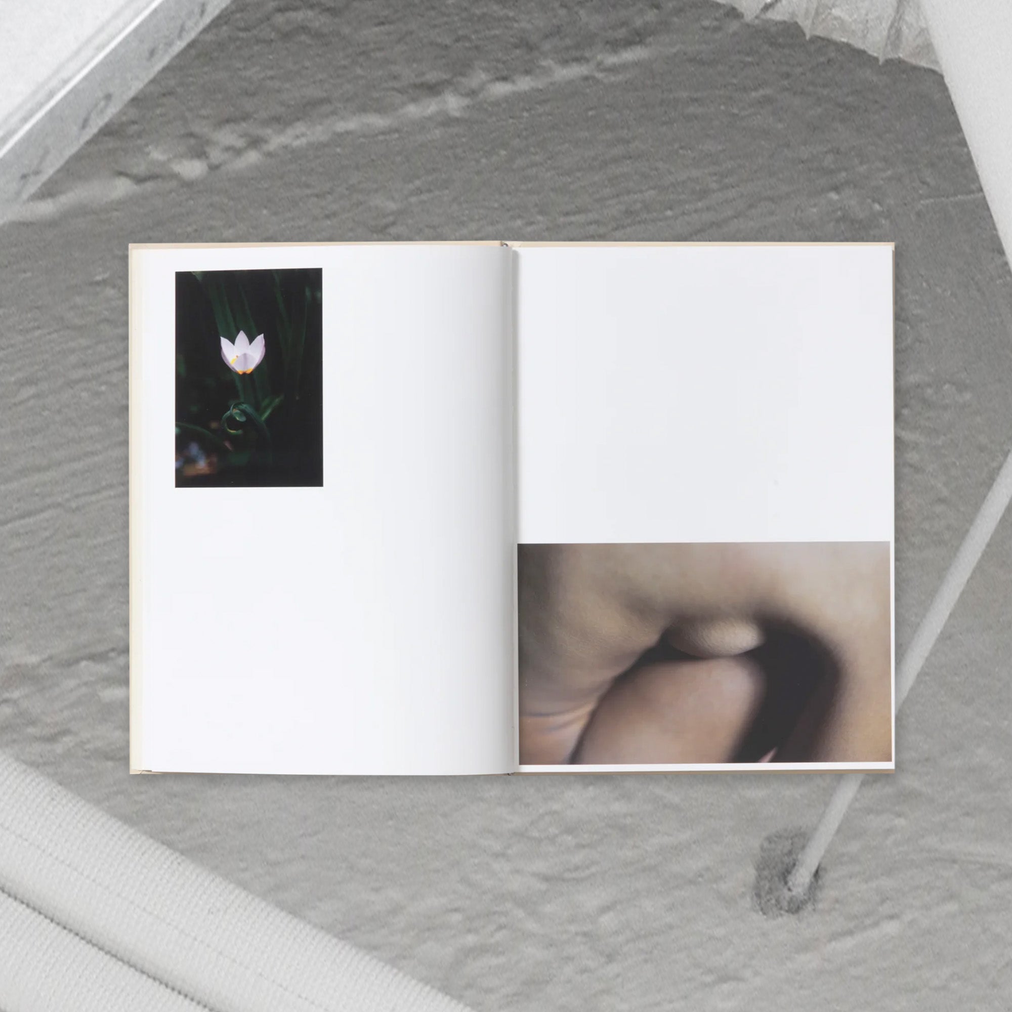 Shen Wei – A Season Particular