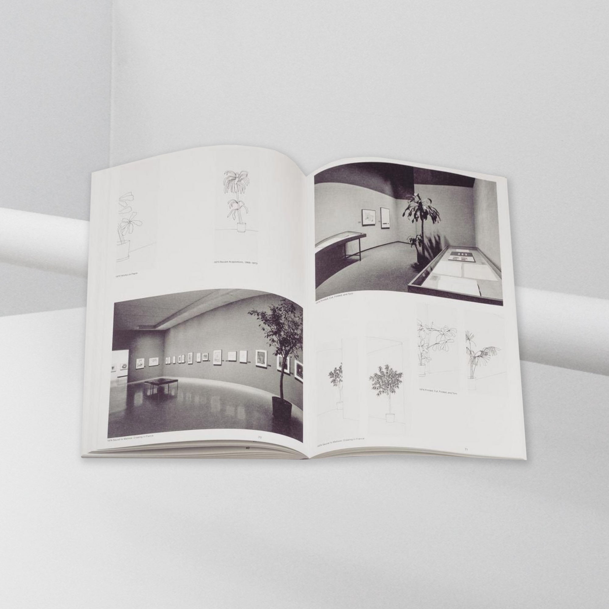 Inge Meijer – The MoMA Plant Collection