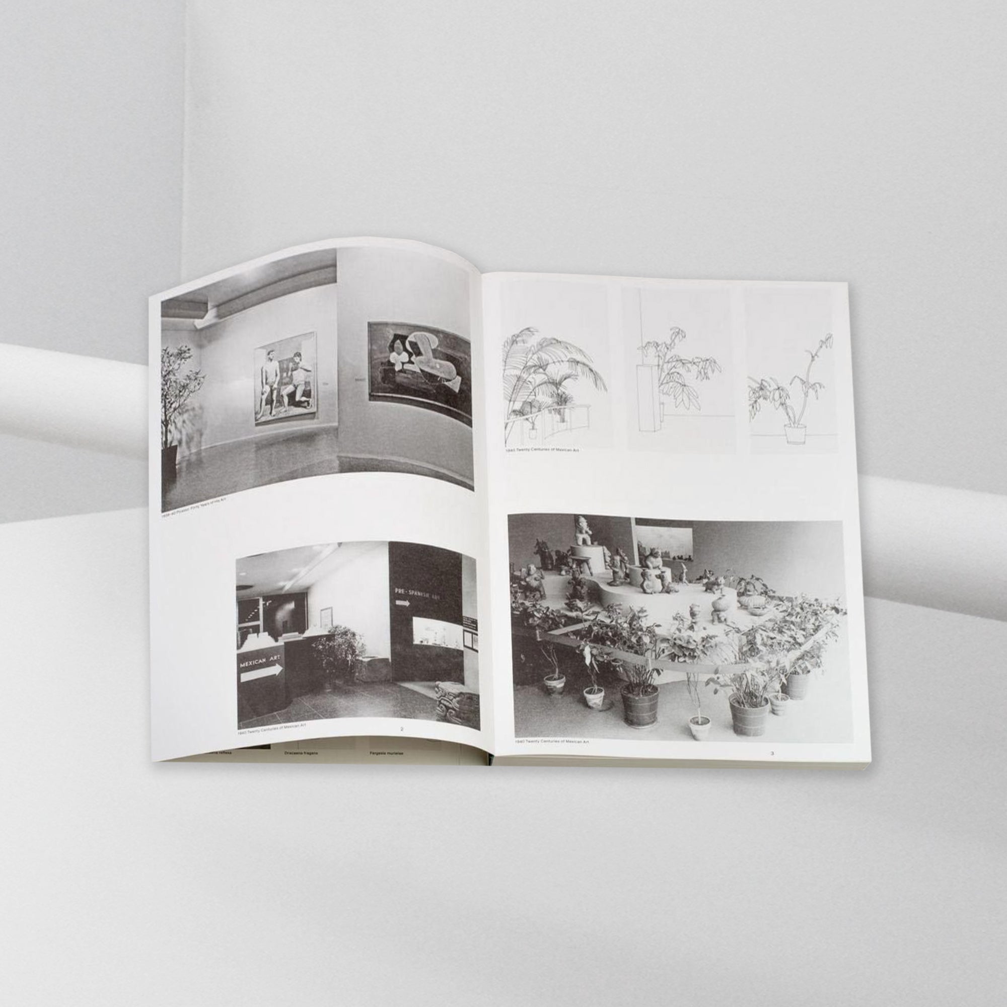 Inge Meijer – The MoMA Plant Collection