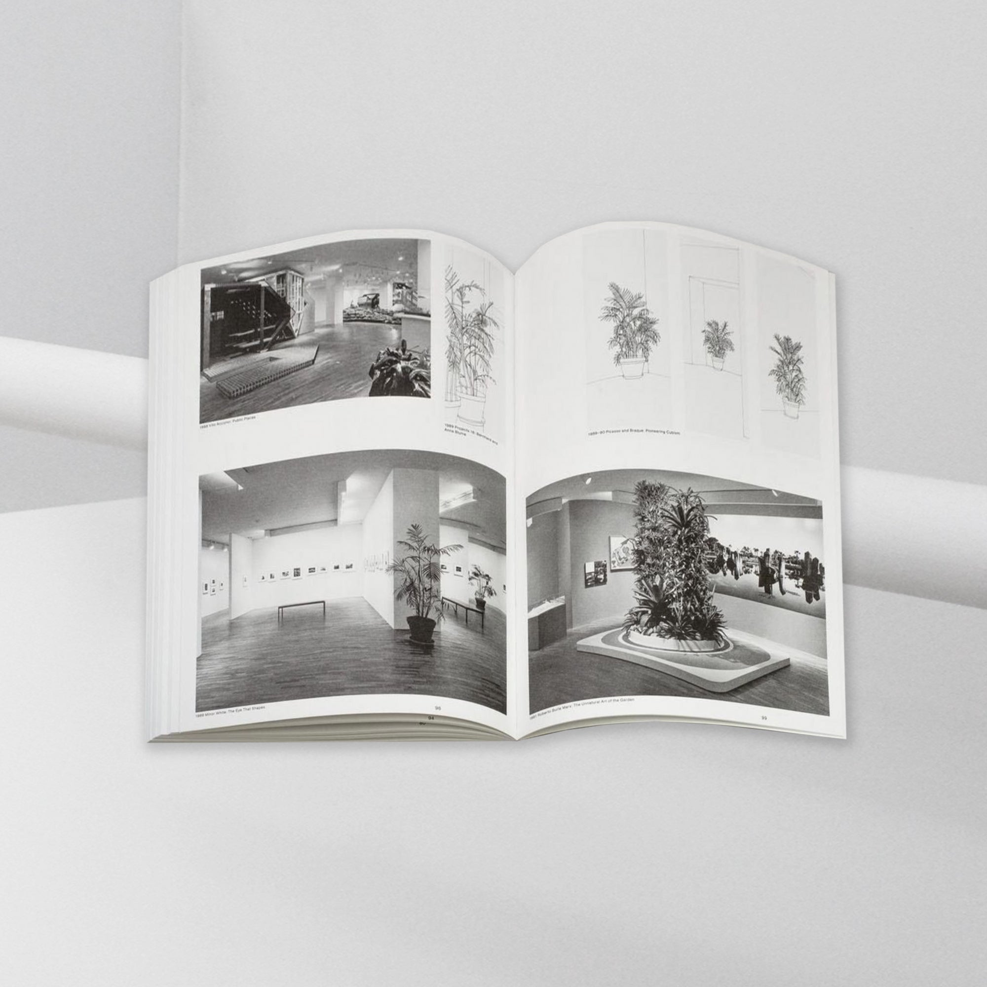 Inge Meijer – The MoMA Plant Collection