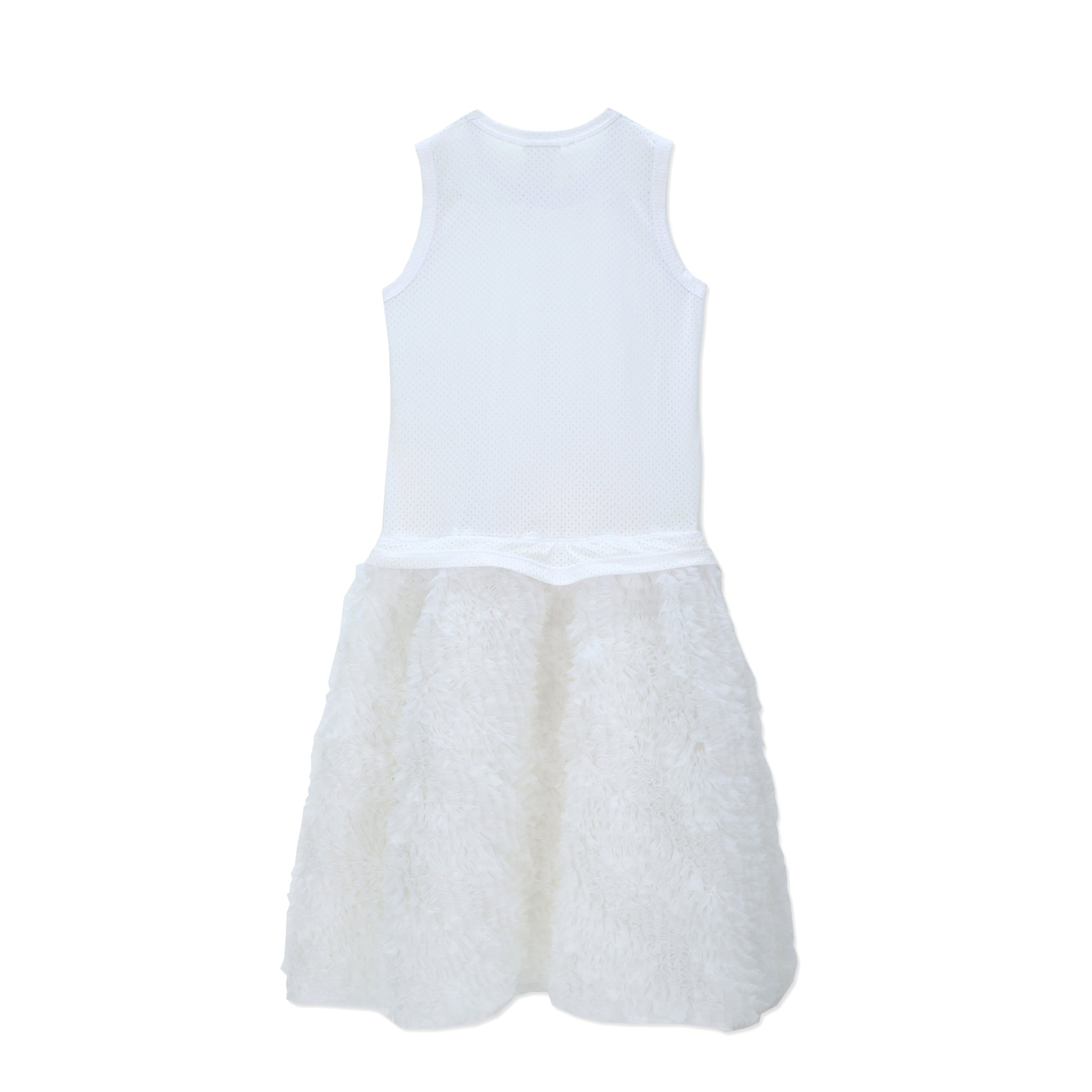 Mesh Organdy Frill Embroidered Dress White